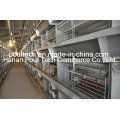 Hot Sale Layer Chicken Cage Equipment